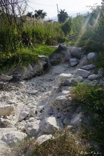 Torrente Minissale